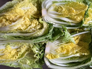Salting Napa cabbage for kimchi