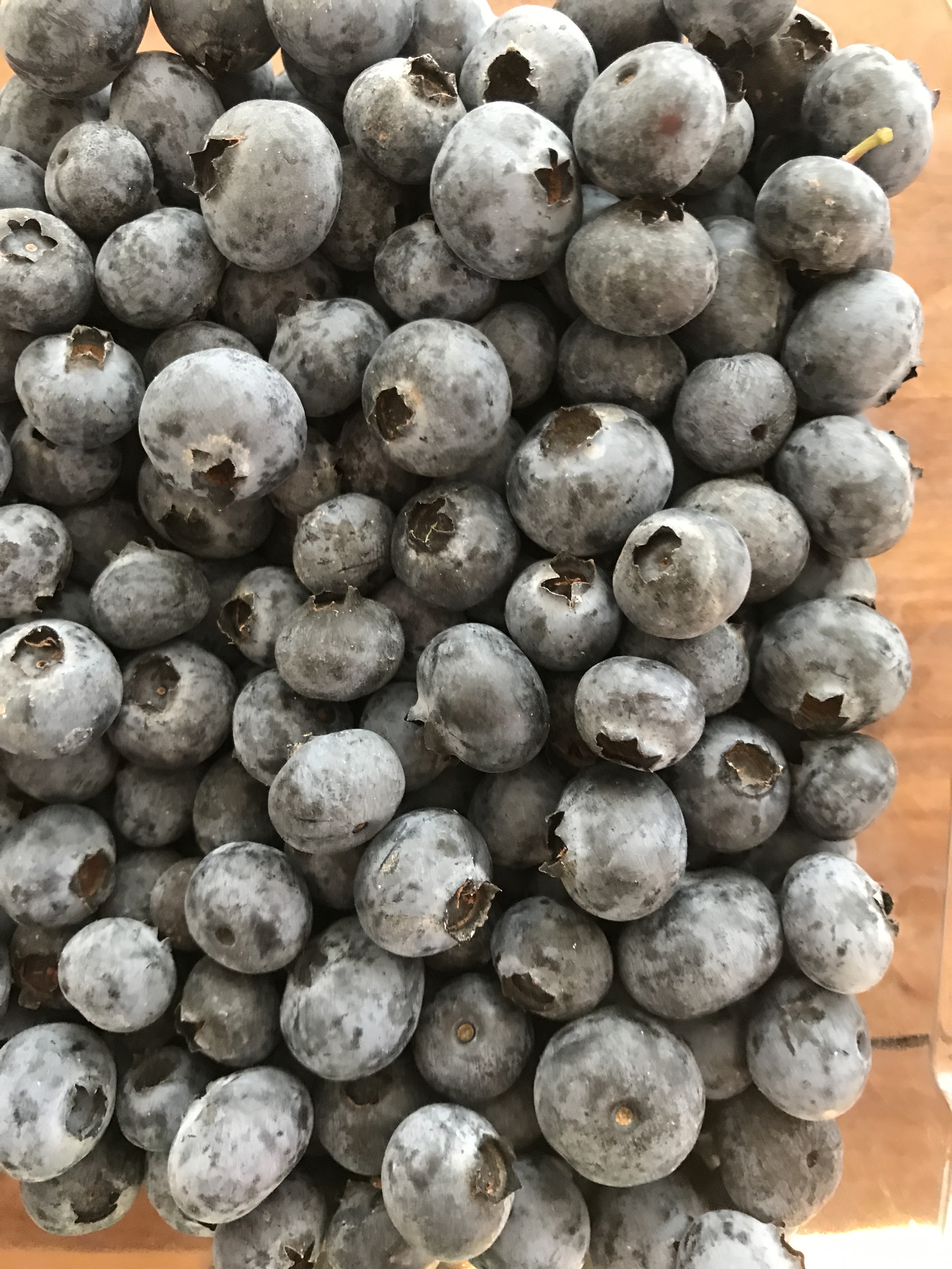 Organic Kiwi Berries, 6 oz, LADYBUG Farms